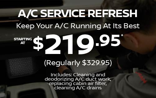 Special Value Advantage Air Filter and in cabin microfilter $139.95 – Schedule Service