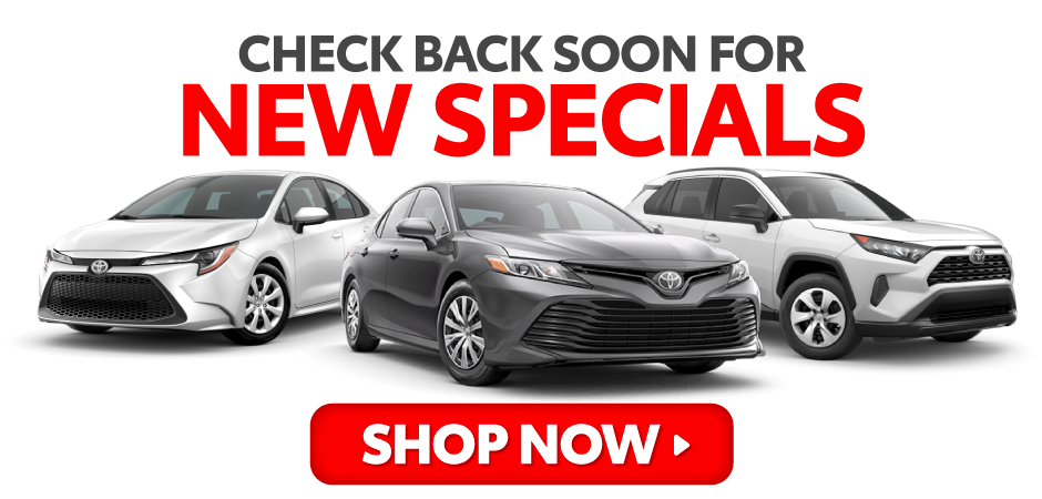 Check back soon for new specials - SHOP NOW
