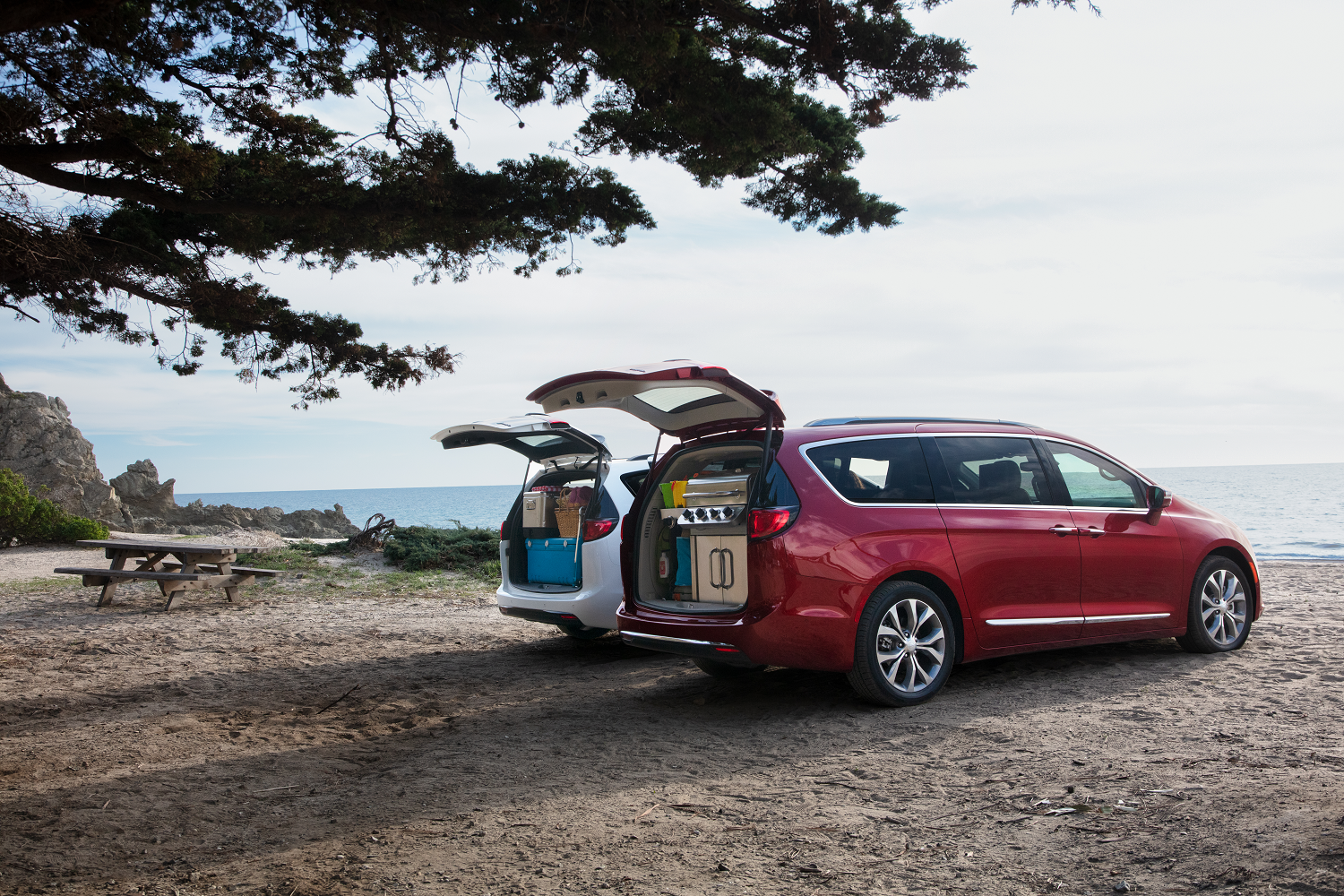 2020 Chrysler Pacifica in Decatur, IL