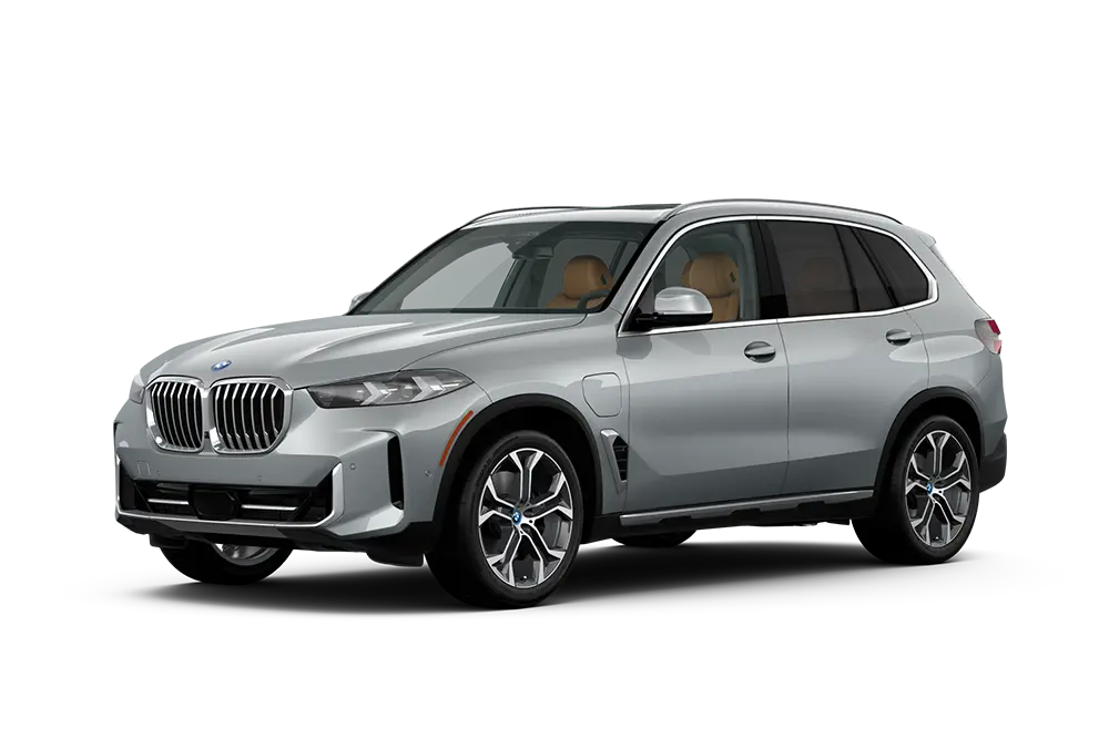 2025 Silver BMW X5