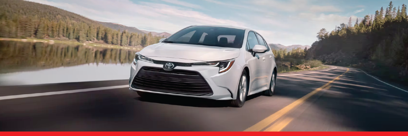 2023 Toyota corolla