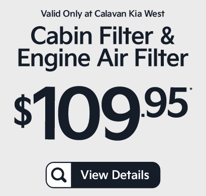 Cabin Filter and Engine Air Filter - $109.95 - View Details