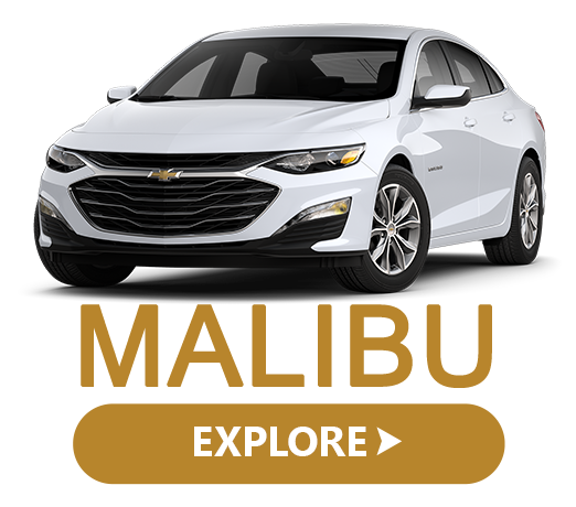 Malibu Specials Plattsburgh NY
