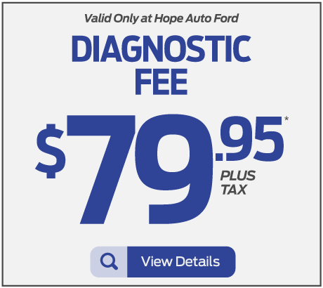 Diagnostic Fee $79.95