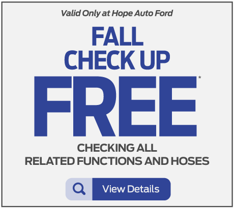 Fall Checkup | Free | Checking all related functions and hoses