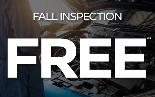 Fall Inspection Free