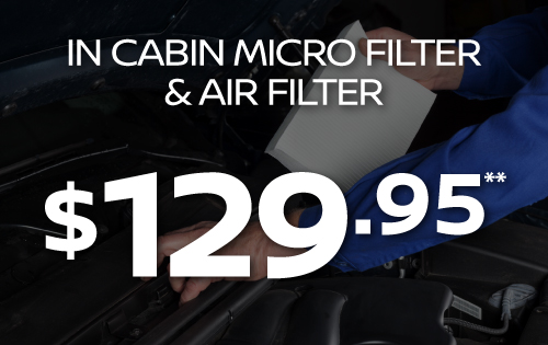 In cabin Micro Filter and air filter - $129.95