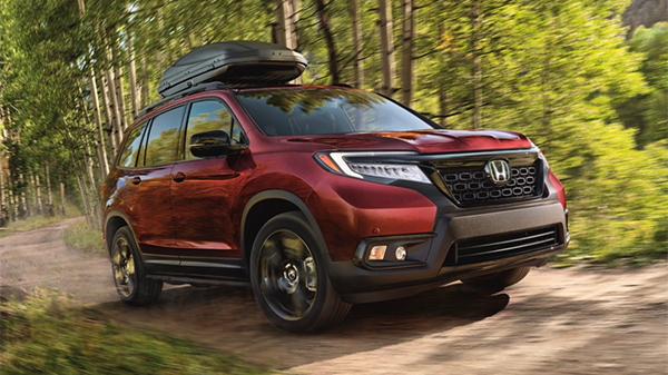 Used Passport in Cranberry, PA