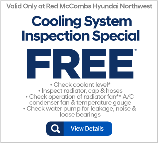 Free Cooling System Inspection Special - View Details