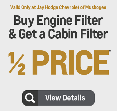 Buy Engine Filter and get a Cabin Filter Half Price - View Details