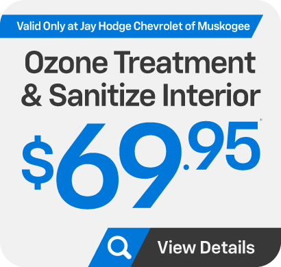 Ozone Treatment and Sanitize Interior - $69.95 - View Details