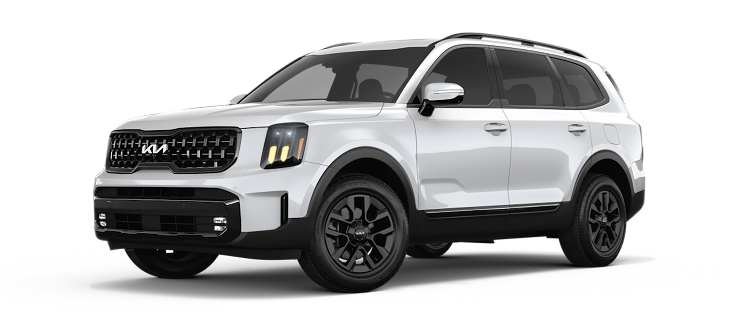 2025 Kia Telluride Sales Gainesville, FL