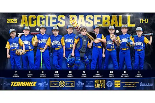 Aggies Baseball Logo