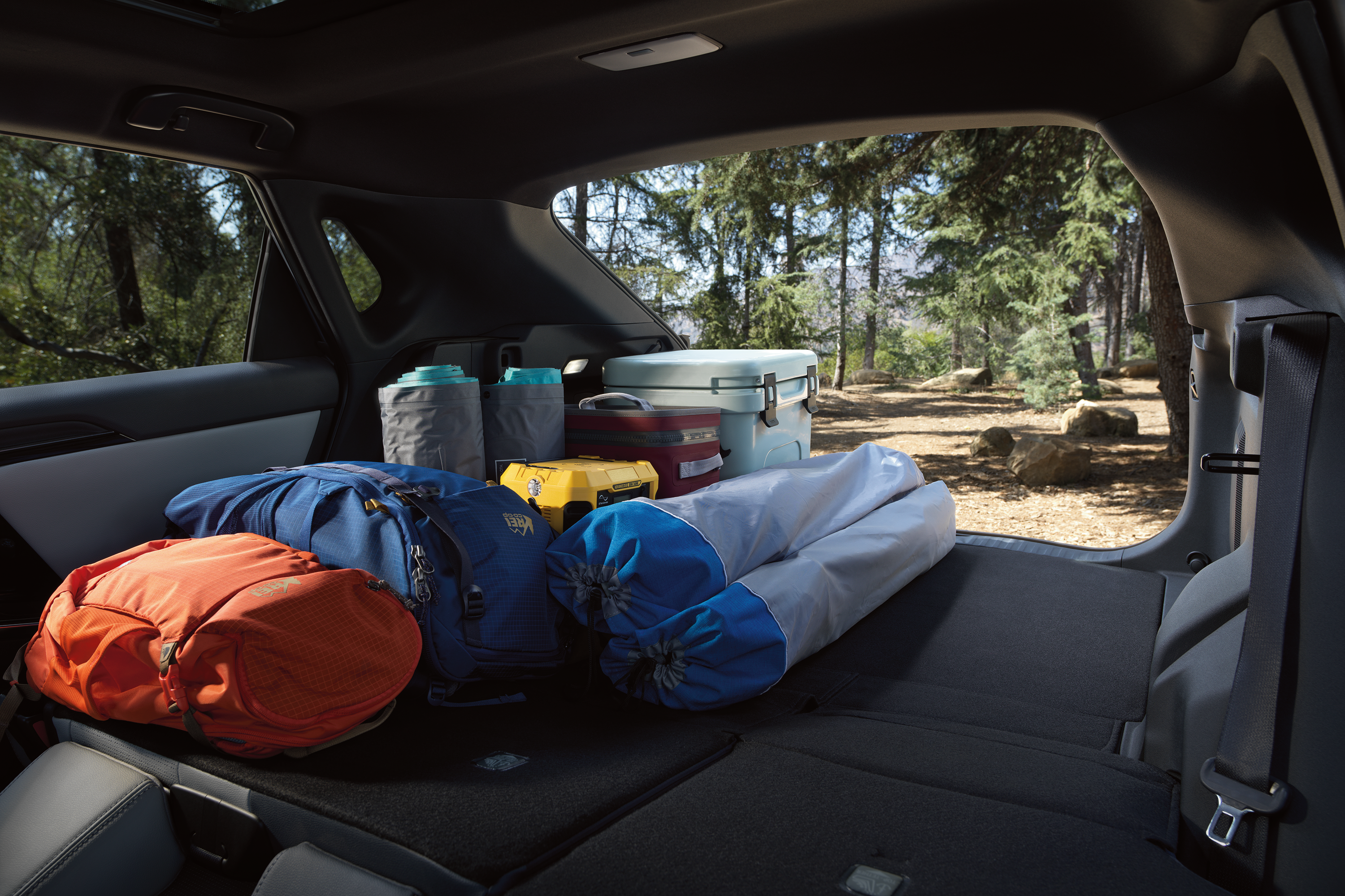 Trunk space
