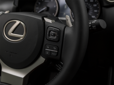 2019 Lexus NX Safety Features