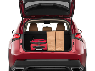 2020 Lexus NX Cargo Space Wesley Chapel, FL