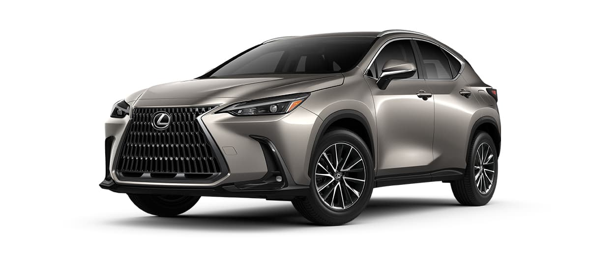 2022 Lexus NX in Wesley Chapel, FL | Lexus of Wesley Chapel