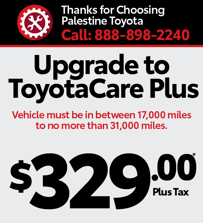 Service Special | Palestine Toyota