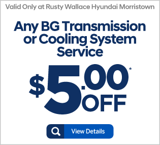 Engine Air Filter or Cabin Air Filter Replacement - View Details