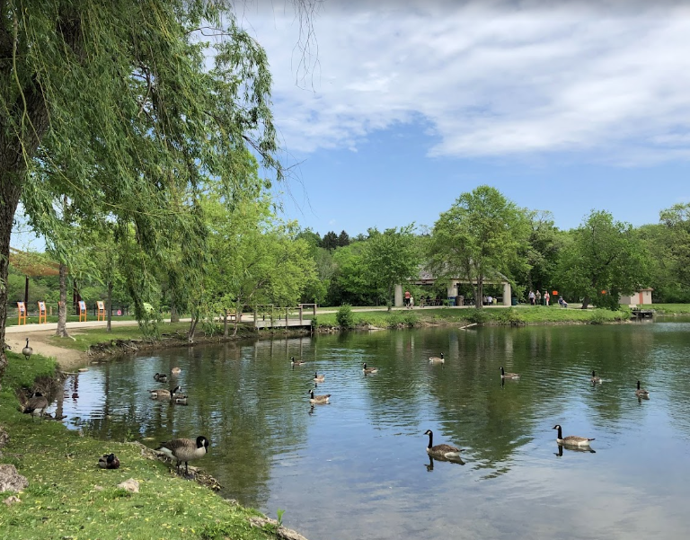 Subaru Loves the Earth