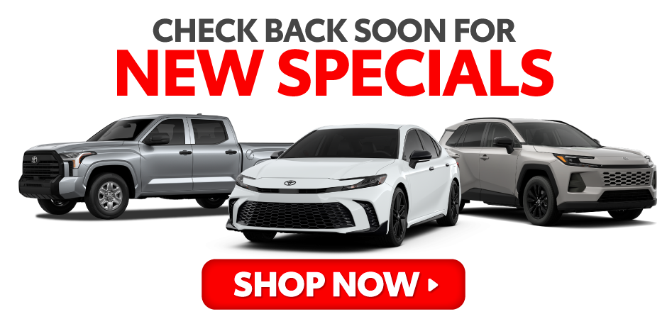 Check back soon for new specials - Shop Now