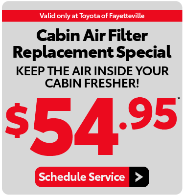 Cabin Air Filter Replacement Special - View Details