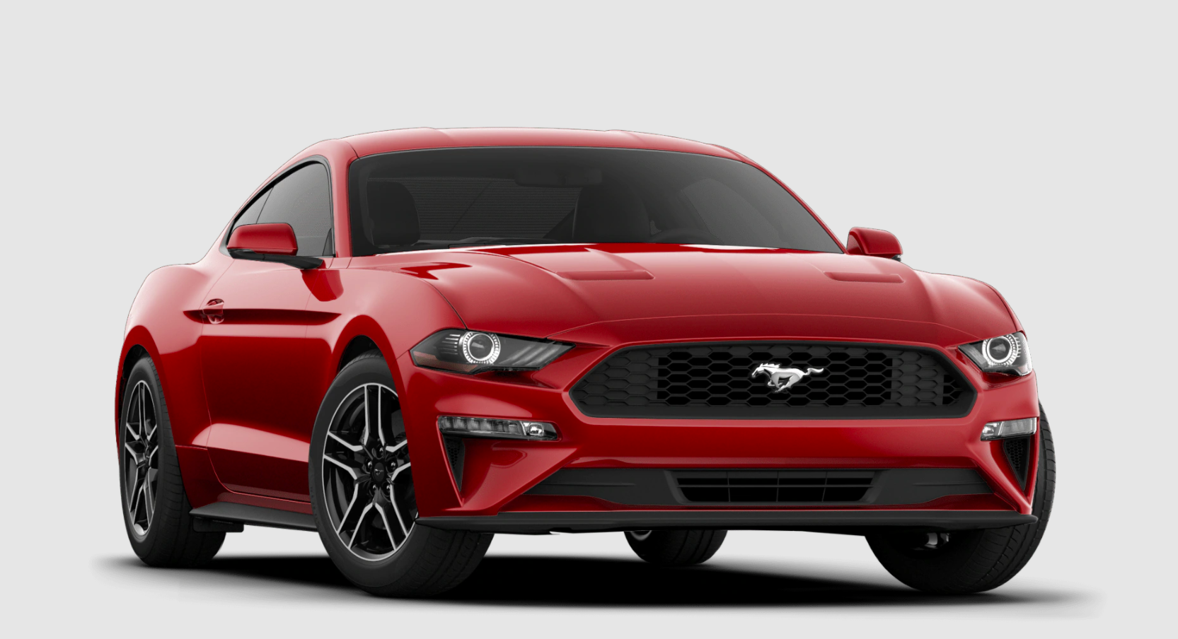 2021 Ford Mustang in Tallahasse, FL