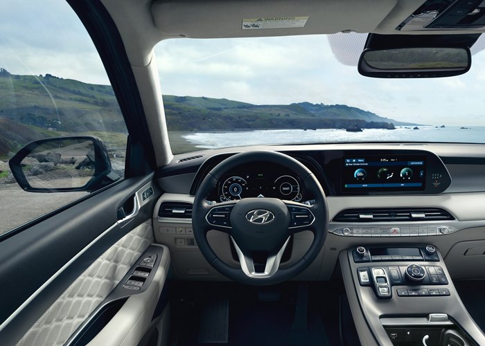Hyundai Palisade Steering Wheel