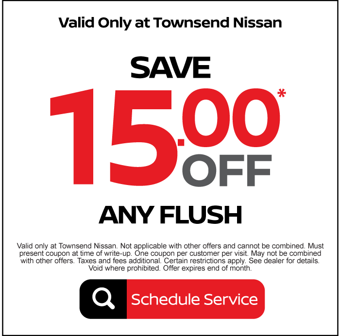 Save $15 off any flush* - Schedule Service