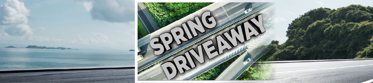 Love Your Ride Service Specials